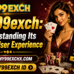 My99exch Understanding Its Digital User Experience